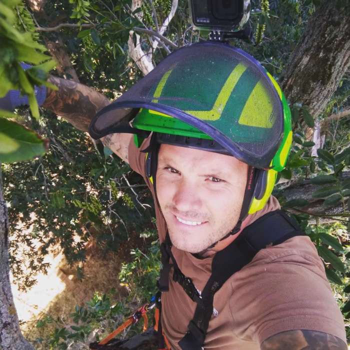 Mitarbeiter macht Selfie auf dem Baum und trägt Sicherheitsausrüstung