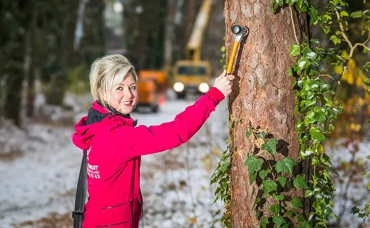 Linda ist Geschäftsführerin von Baum Schmidt und für die Angebotsentwicklung oder die Beantragung von Fällgenehmigungen verantwortlich.